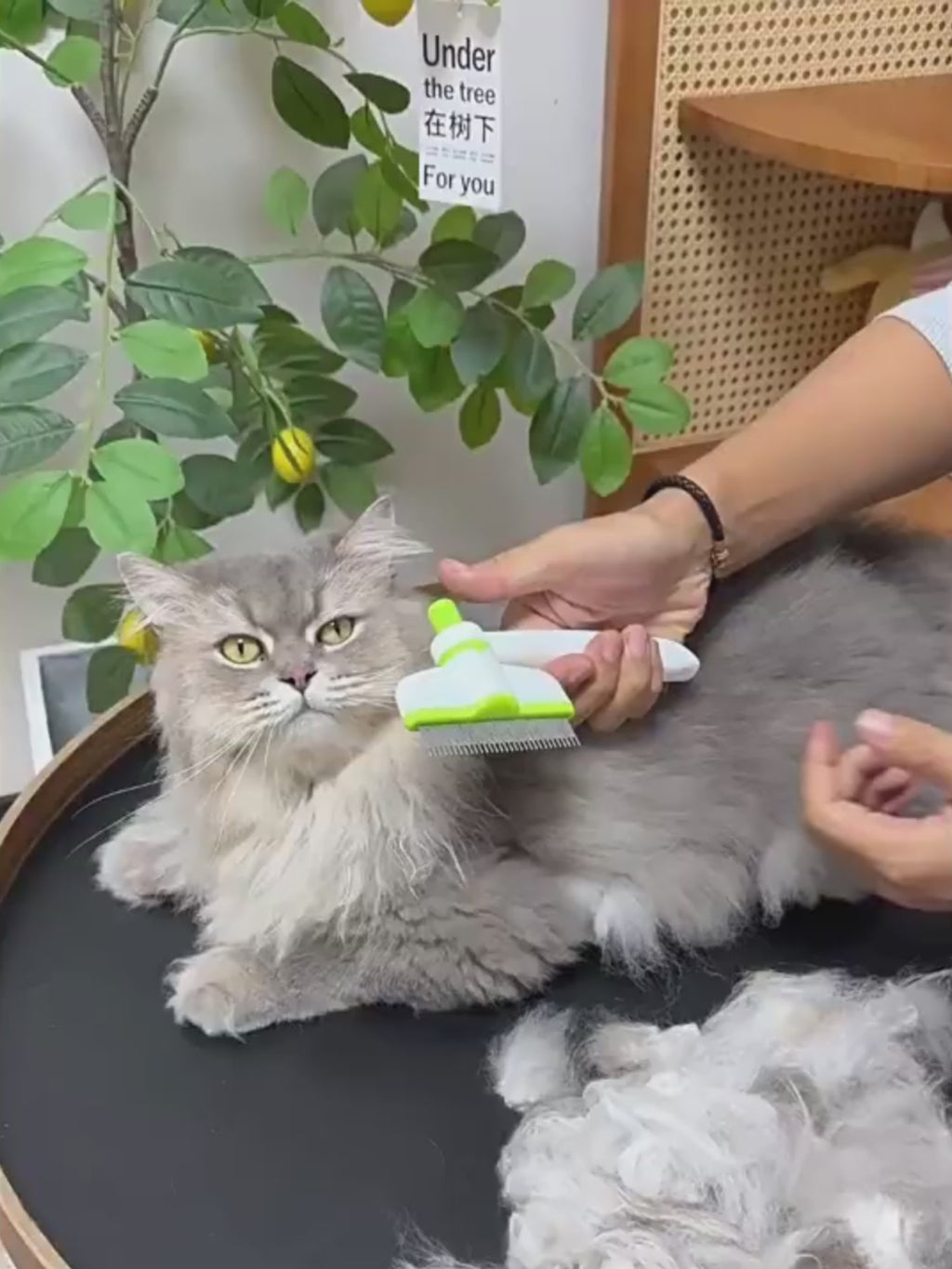 PetClean™ One-Click Self Cleaning Pet Brush – Removes Shedding Hair in Seconds